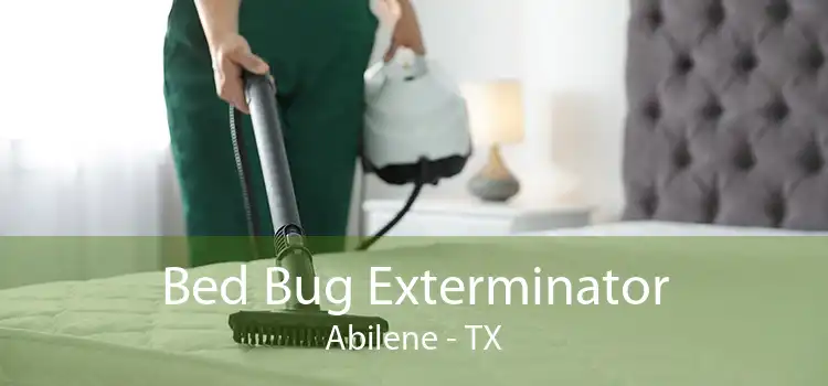 Bed Bug Exterminator Abilene - TX