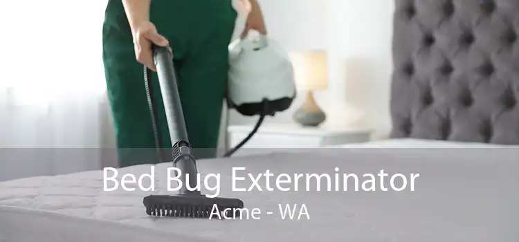 Bed Bug Exterminator Acme - WA