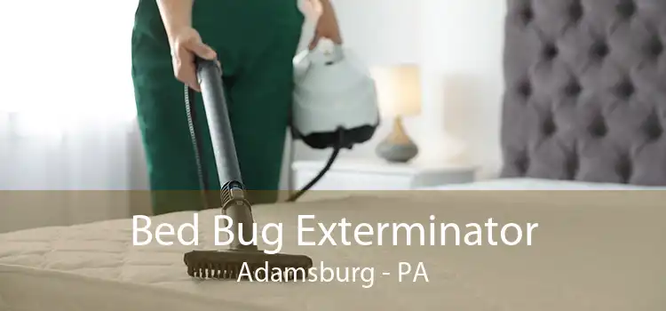 Bed Bug Exterminator Adamsburg - PA