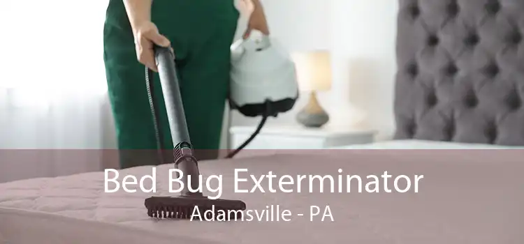 Bed Bug Exterminator Adamsville - PA