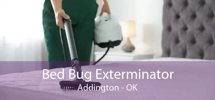 Bed Bug Exterminator Addington - OK