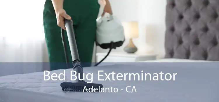 Bed Bug Exterminator Adelanto - CA