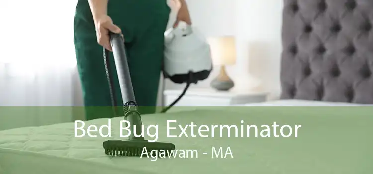 Bed Bug Exterminator Agawam - MA