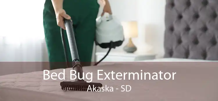 Bed Bug Exterminator Akaska - SD