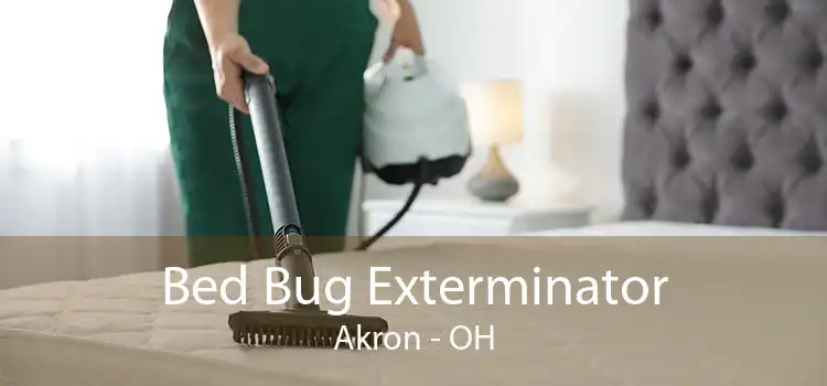 Bed Bug Exterminator Akron - OH