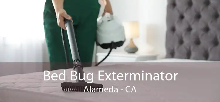 Bed Bug Exterminator Alameda - CA