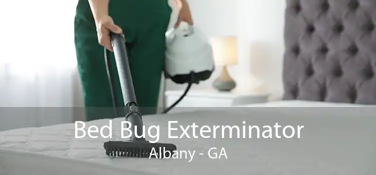 Bed Bug Exterminator Albany - GA