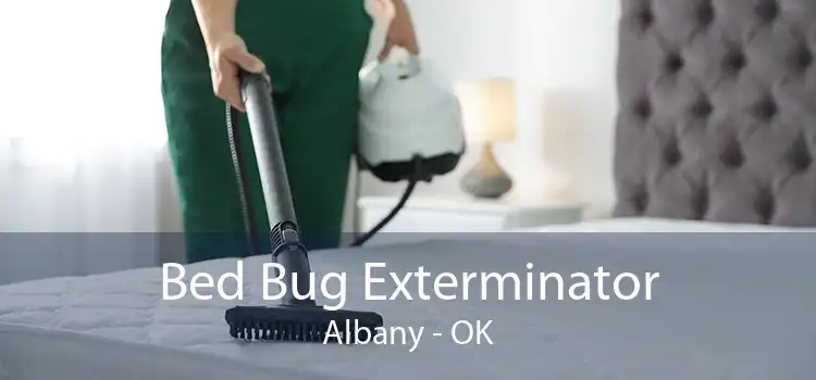 Bed Bug Exterminator Albany - OK