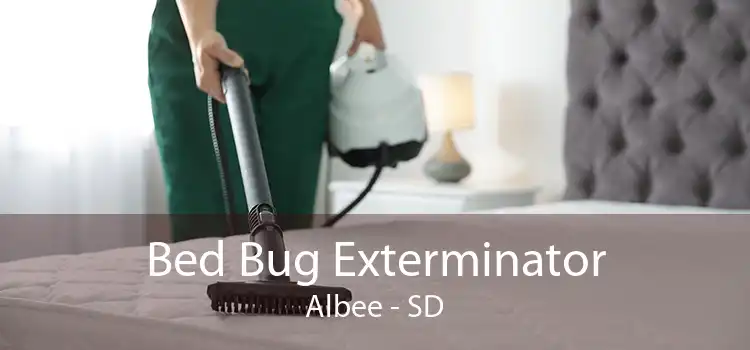 Bed Bug Exterminator Albee - SD