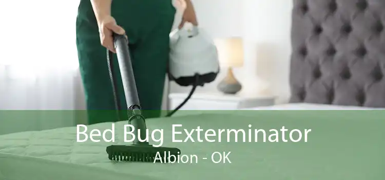 Bed Bug Exterminator Albion - OK