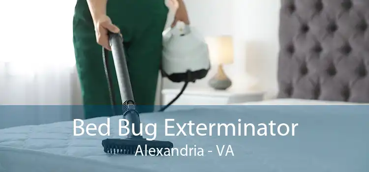 Bed Bug Exterminator Alexandria - VA