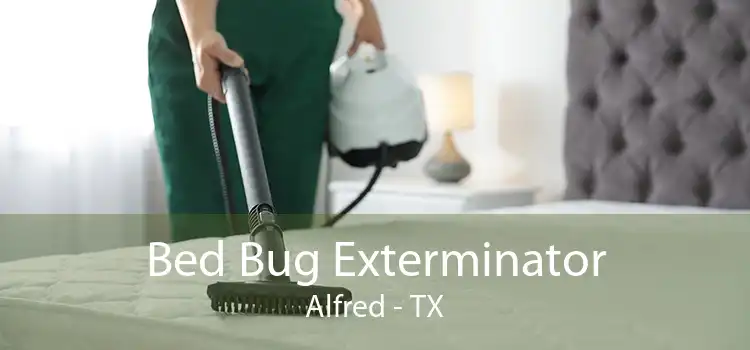 Bed Bug Exterminator Alfred - TX