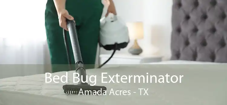 Bed Bug Exterminator Amada Acres - TX