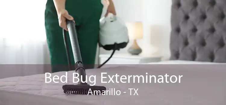 Bed Bug Exterminator Amarillo - TX