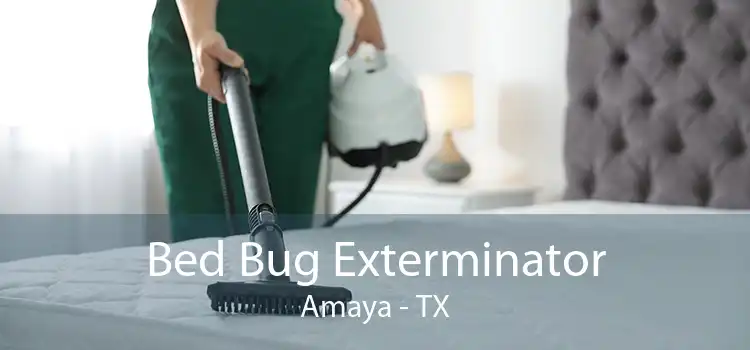 Bed Bug Exterminator Amaya - TX