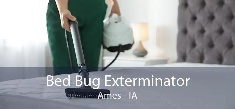 Bed Bug Exterminator Ames - IA