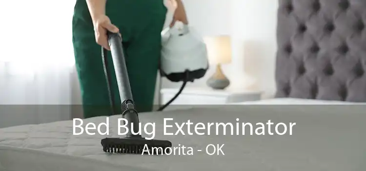 Bed Bug Exterminator Amorita - OK