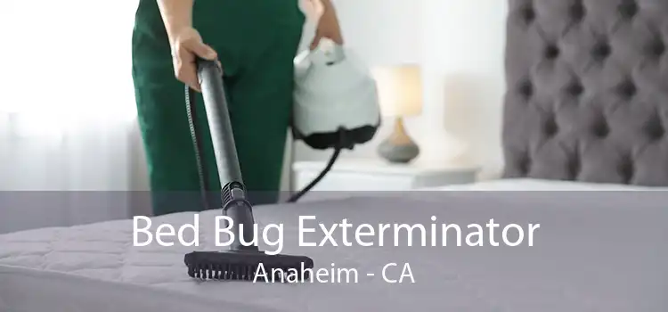 Bed Bug Exterminator Anaheim - CA