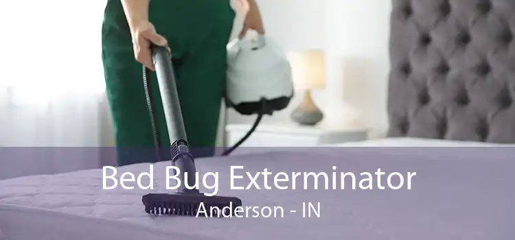 Bed Bug Exterminator Anderson - IN