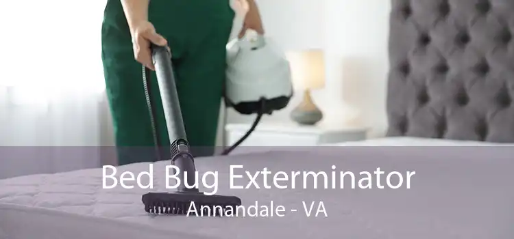 Bed Bug Exterminator Annandale - VA