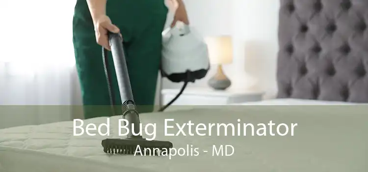 Bed Bug Exterminator Annapolis - MD