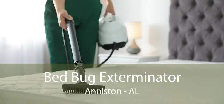 Bed Bug Exterminator Anniston - AL