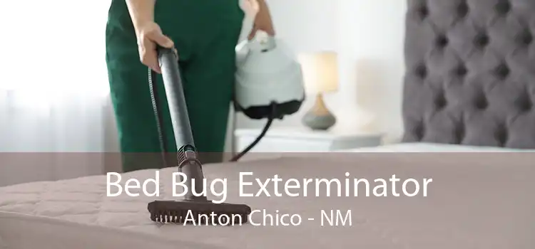 Bed Bug Exterminator Anton Chico - NM