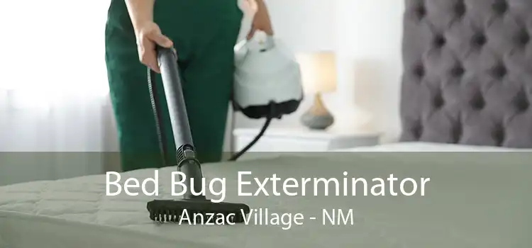 Bed Bug Exterminator Anzac Village - NM