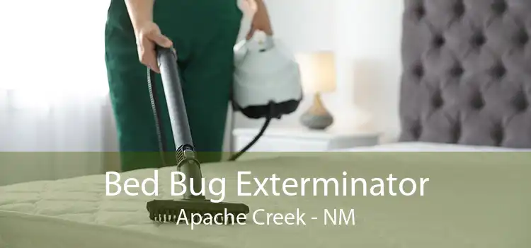 Bed Bug Exterminator Apache Creek - NM