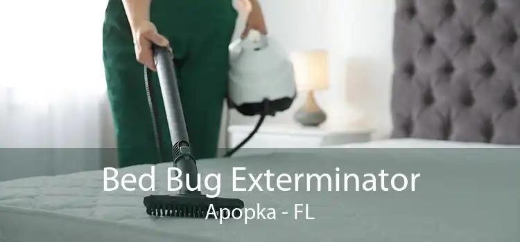 Bed Bug Exterminator Apopka - FL