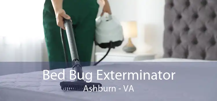 Bed Bug Exterminator Ashburn - VA