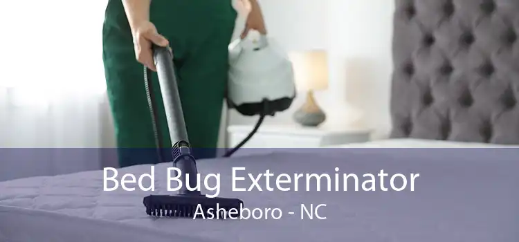 Bed Bug Exterminator Asheboro - NC