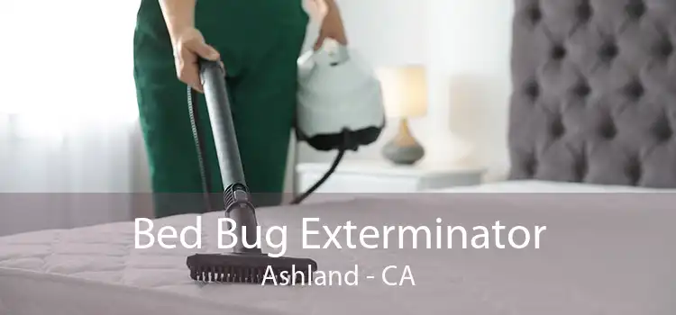 Bed Bug Exterminator Ashland - CA