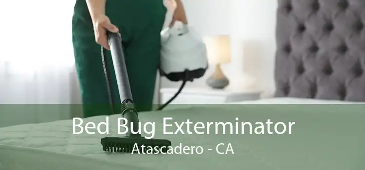 Bed Bug Exterminator Atascadero - CA