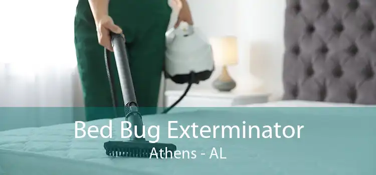 Bed Bug Exterminator Athens - AL