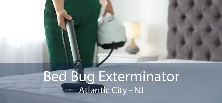 Bed Bug Exterminator Atlantic City - NJ