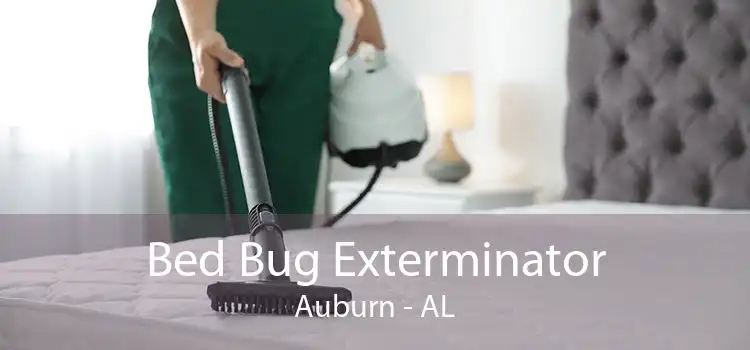 Bed Bug Exterminator Auburn - AL