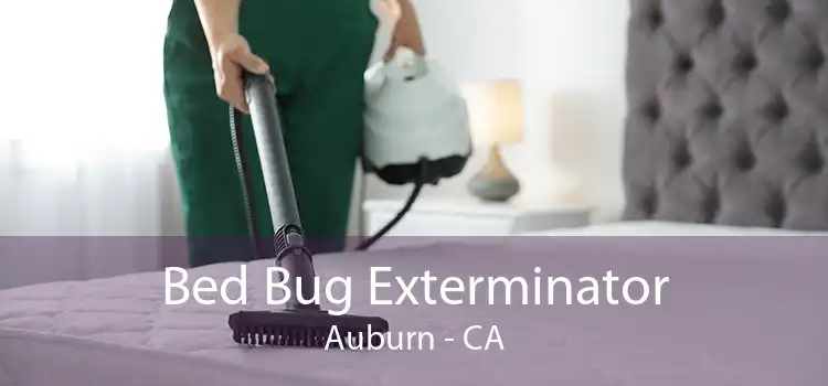 Bed Bug Exterminator Auburn - CA