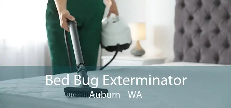 Bed Bug Exterminator Auburn - WA