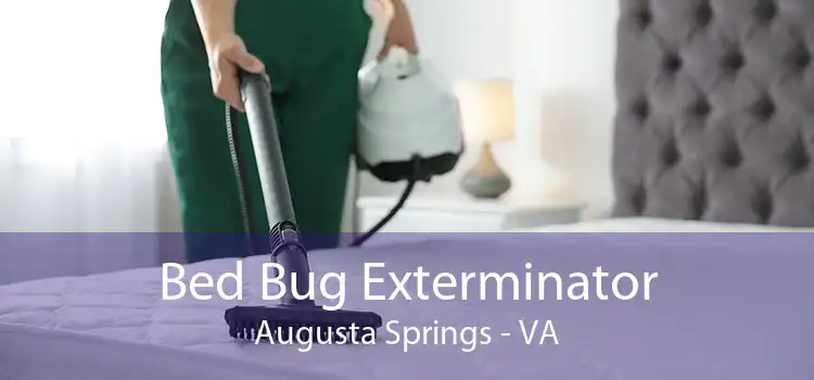 Bed Bug Exterminator Augusta Springs - VA