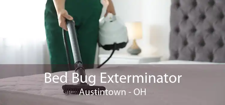 Bed Bug Exterminator Austintown - OH