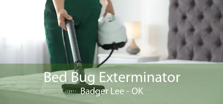 Bed Bug Exterminator Badger Lee - OK