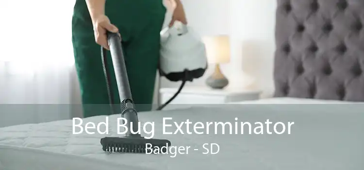 Bed Bug Exterminator Badger - SD