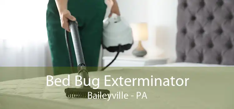 Bed Bug Exterminator Baileyville - PA