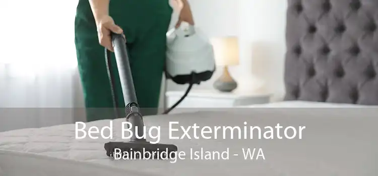 Bed Bug Exterminator Bainbridge Island - WA