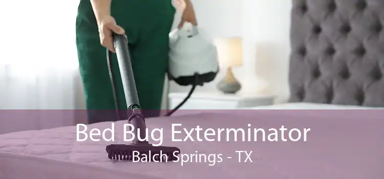 Bed Bug Exterminator Balch Springs - TX