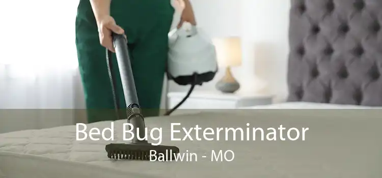 Bed Bug Exterminator Ballwin - MO