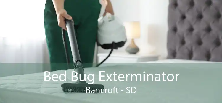 Bed Bug Exterminator Bancroft - SD