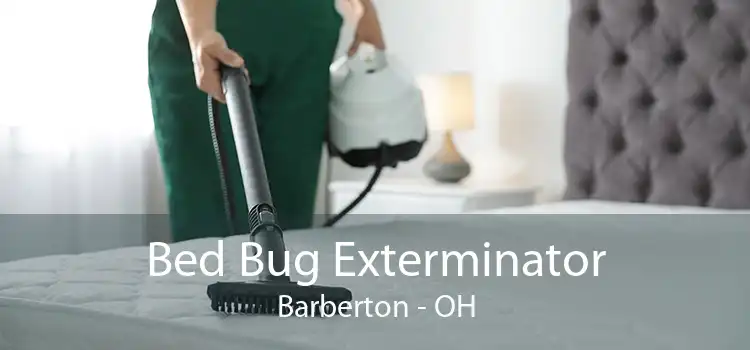 Bed Bug Exterminator Barberton - OH