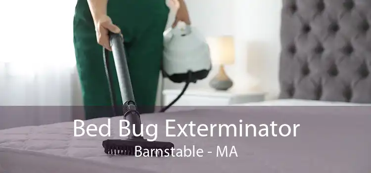 Bed Bug Exterminator Barnstable - MA